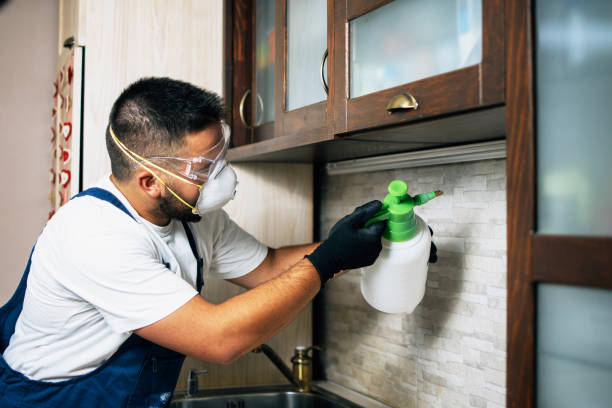 Best Rat Extermination Near Me  in Potomac, MD