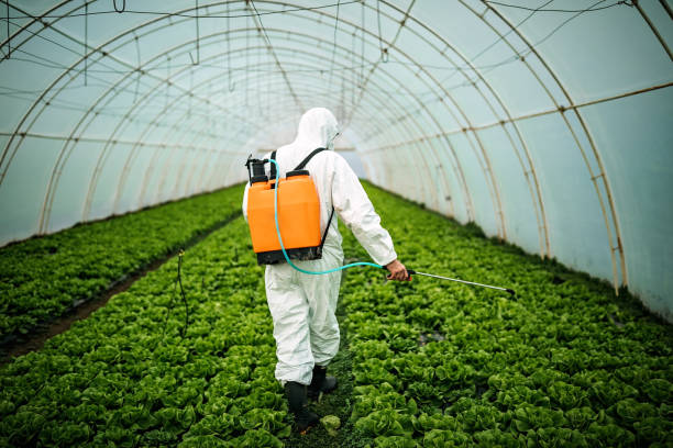 Best Best Pest Control Near Me  in Potomac, MD
