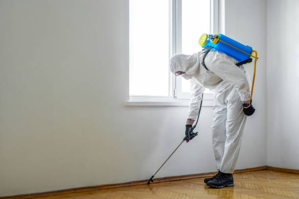 Best Termite Control Services  in Potomac, MD