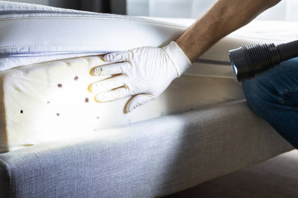 Best Pest Prevention Services  in Potomac, MD