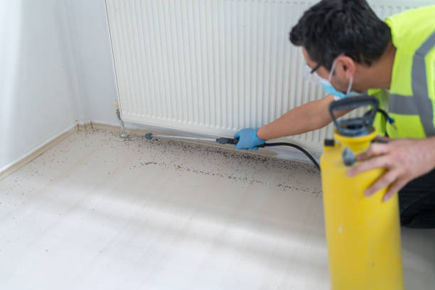 Best Bed Bug Extermination  in Potomac, MD