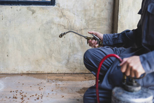 Best Emergency Pest Control  in Potomac, MD